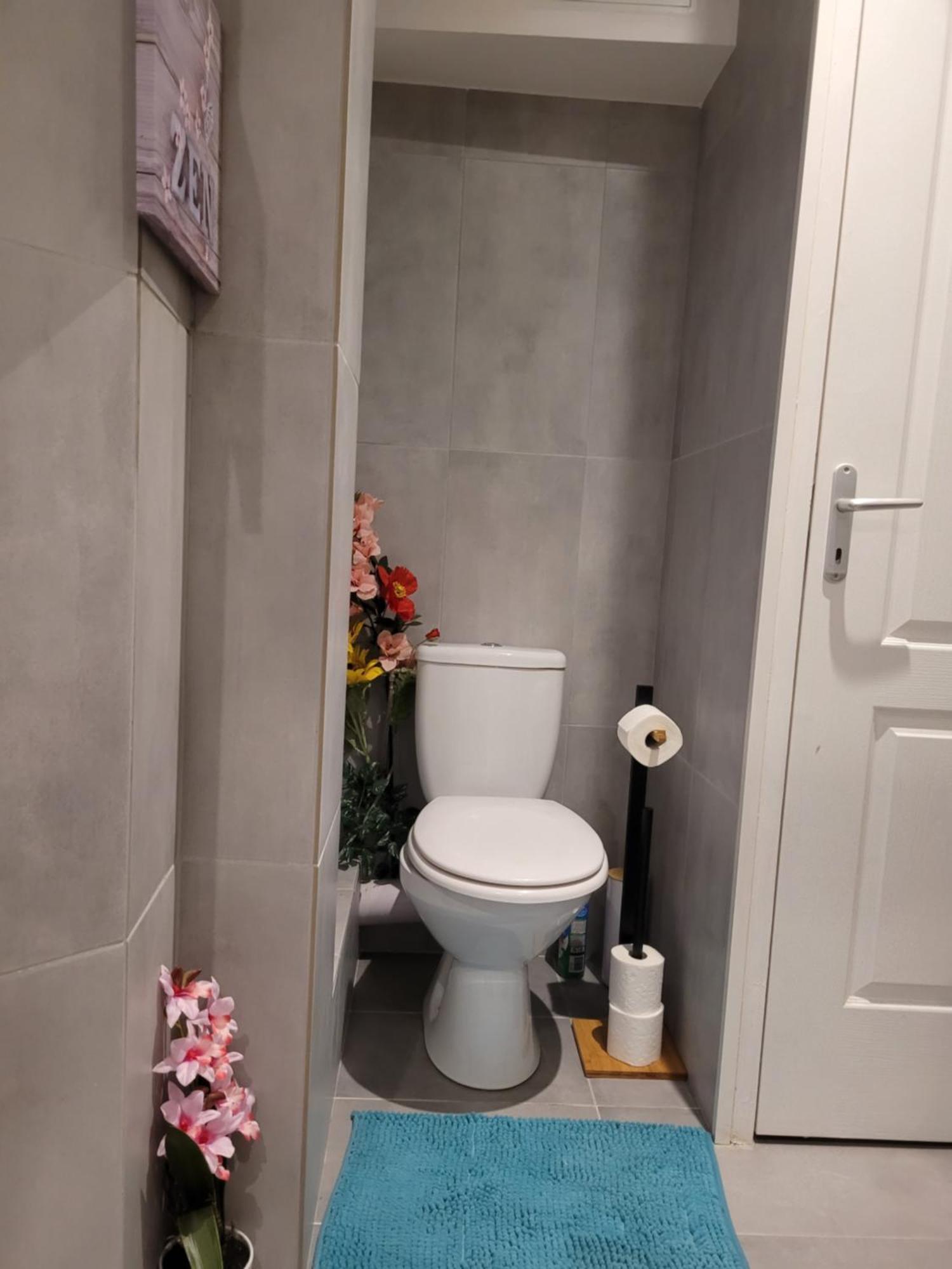 Cocooning House 211 Suite Azur Appartement Aeroport Paris Roissy Cdg, Parc Asterix, Chateau De Chantilly, Stade De France سورْفيييه المظهر الخارجي الصورة
